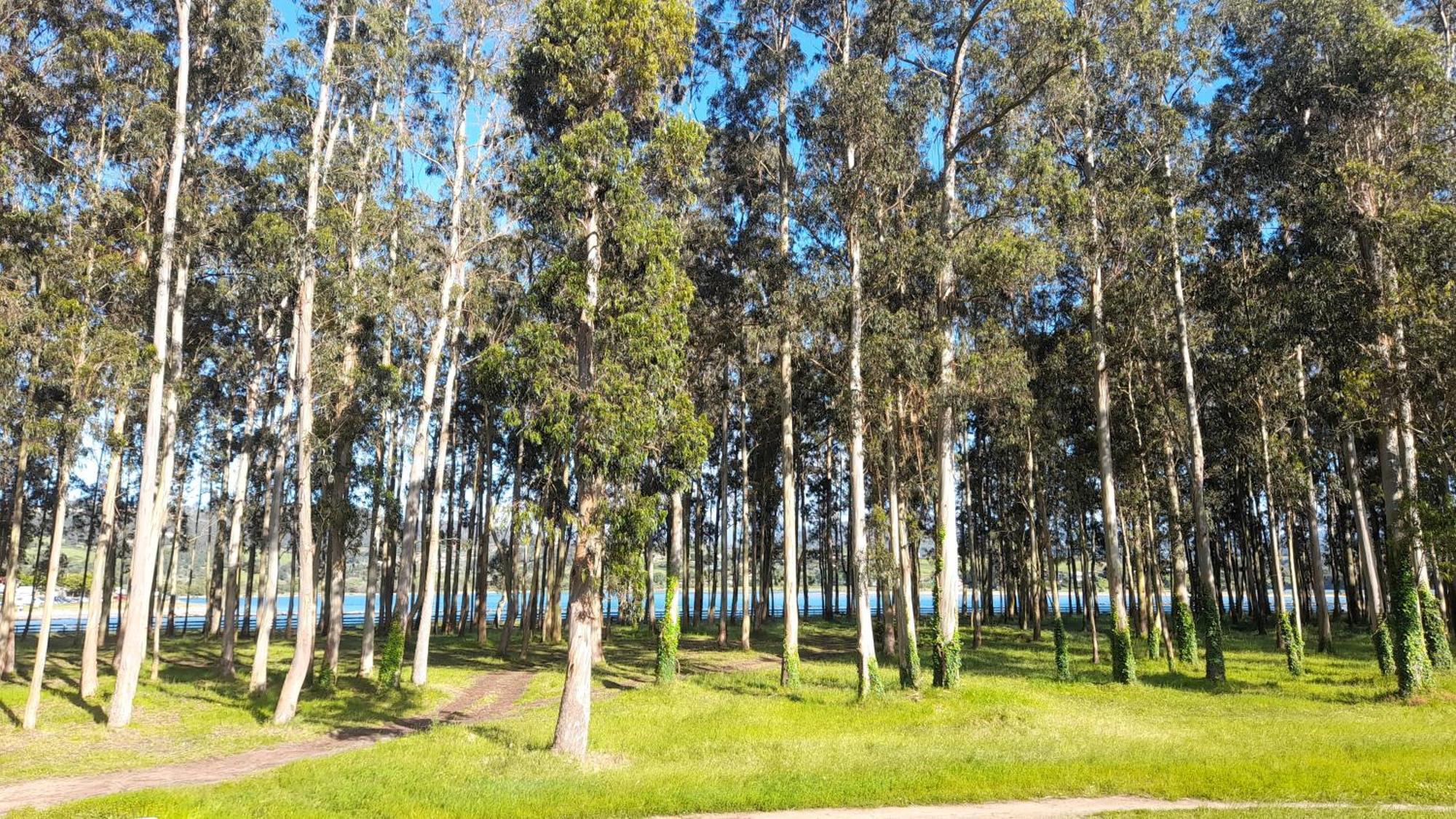 Nido Ria Apartment Villaviciosa  Bagian luar foto
